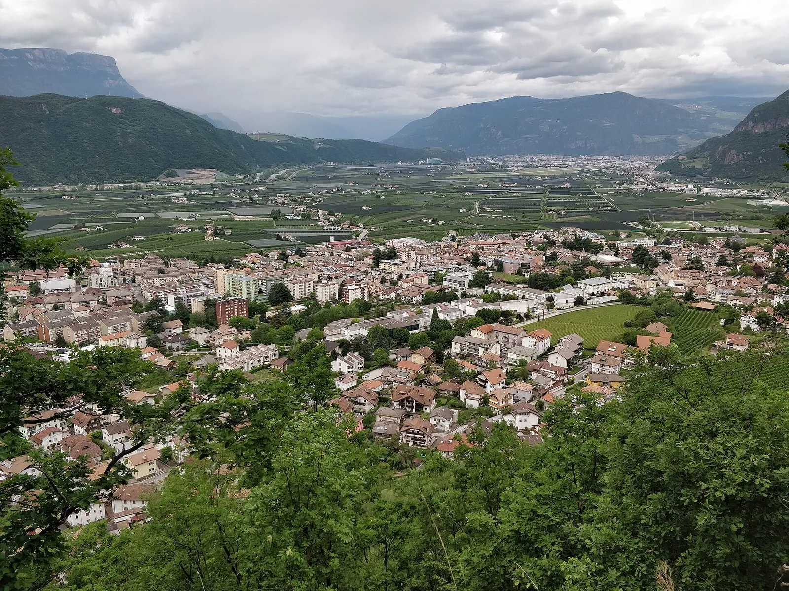 Veduta dall'alto di Laives fra le fronde degli alberi: le case e i condomini del paese in primo piano, i frutteti della piana dell'Adige al centro e, sullo sfondo, la conca di Bolzano chiusa da montagne sotto un cielo nuvoloso