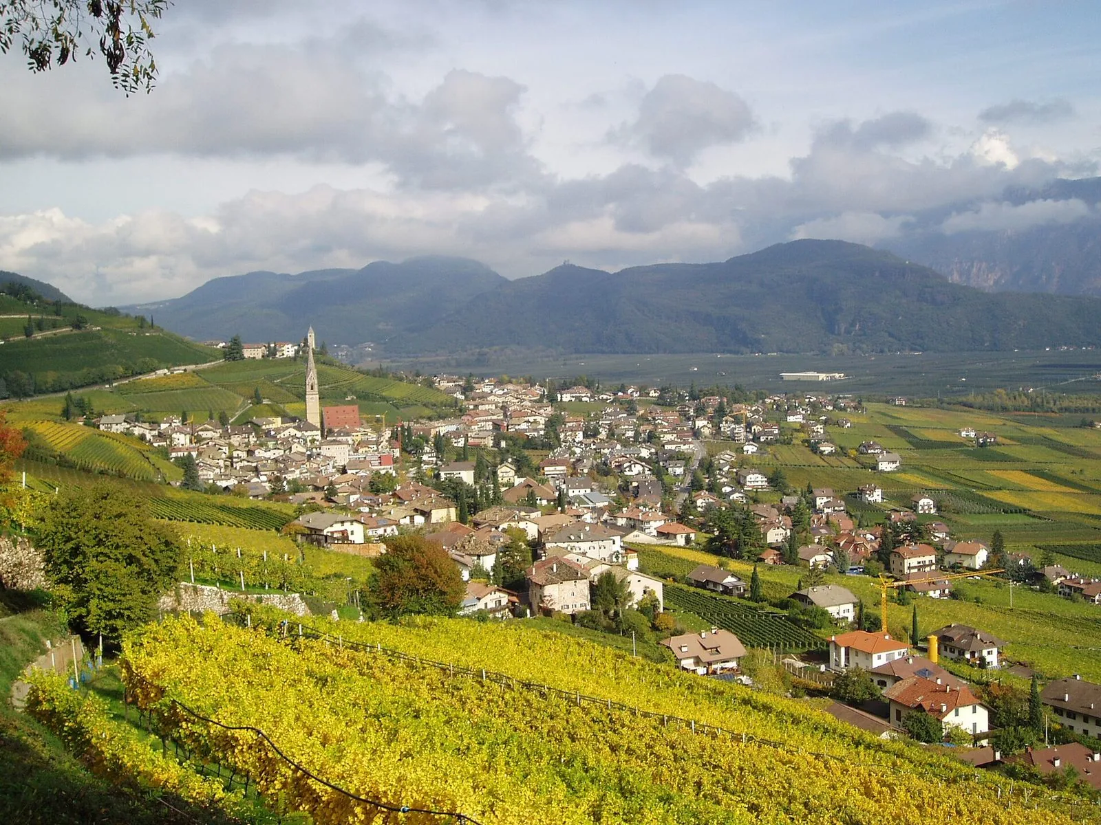 Il paese di Termeno visto dall'alto in autunno: vigneti dalle foglie gialle in primo piano, le case raccolte attorno all'alto campanile appuntito e, sullo sfondo, il fondovalle coltivato e le montagne sotto un cielo nuvoloso